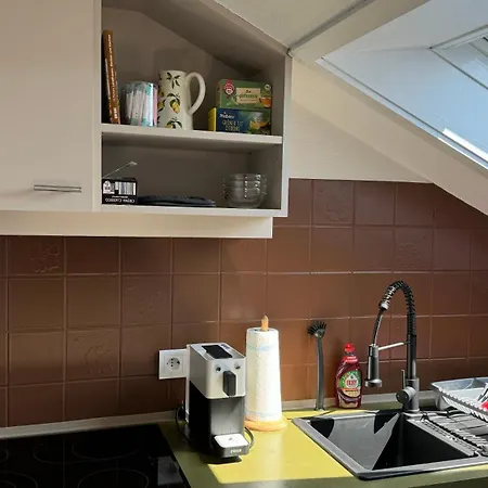 Urlaub Im Schwarzwald Apartmán Lenzkirch