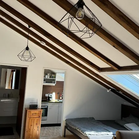 Urlaub Im Schwarzwald Apartment